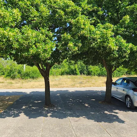 アパート Adriana *